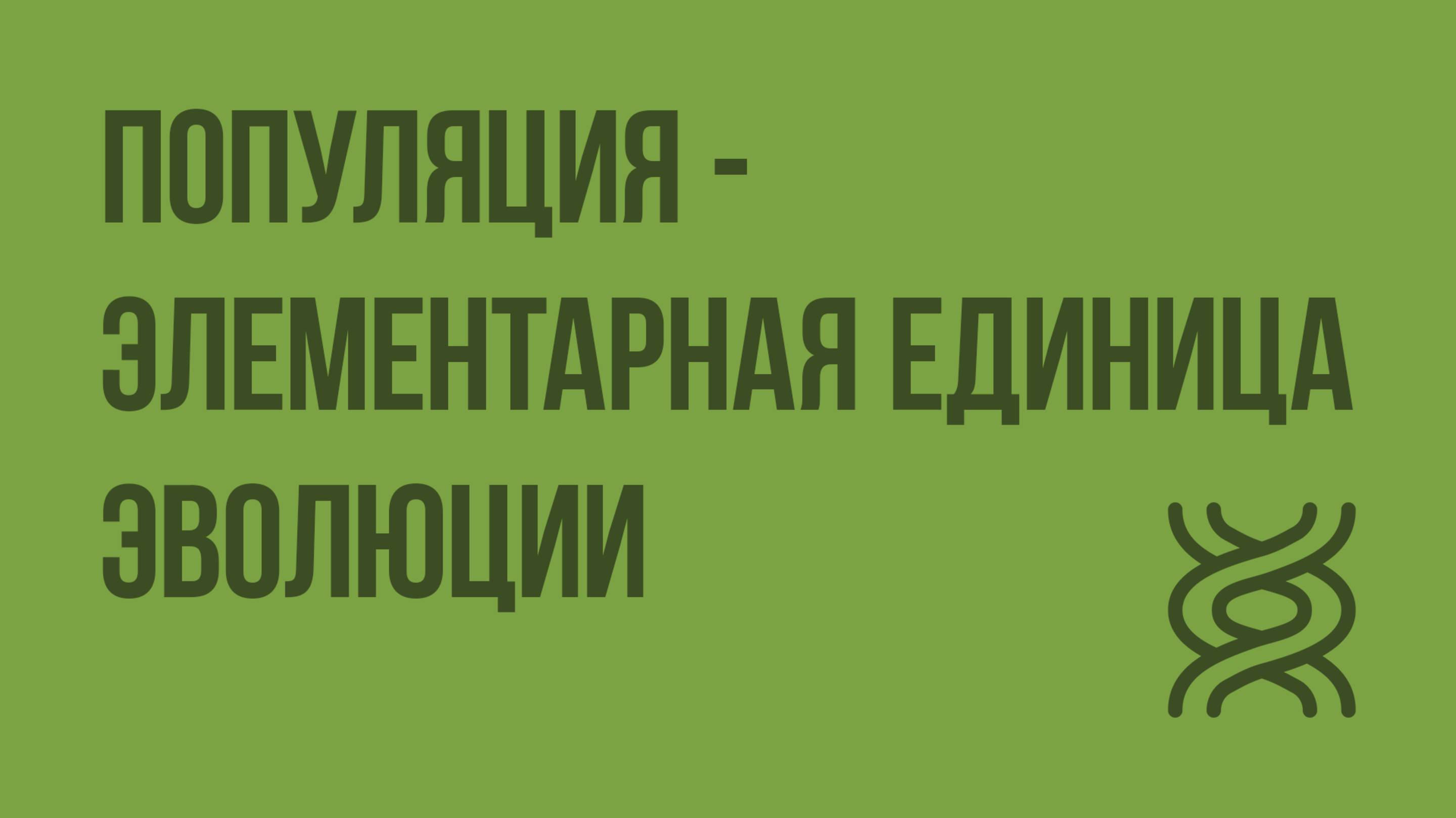 Популяция - элементарная единица эволюции. Видеоурок по биологии 11 класс