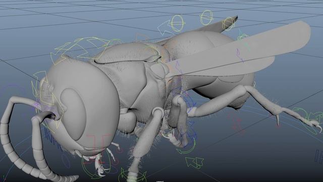Vespa Mandarinia Rig смотреть онлайн