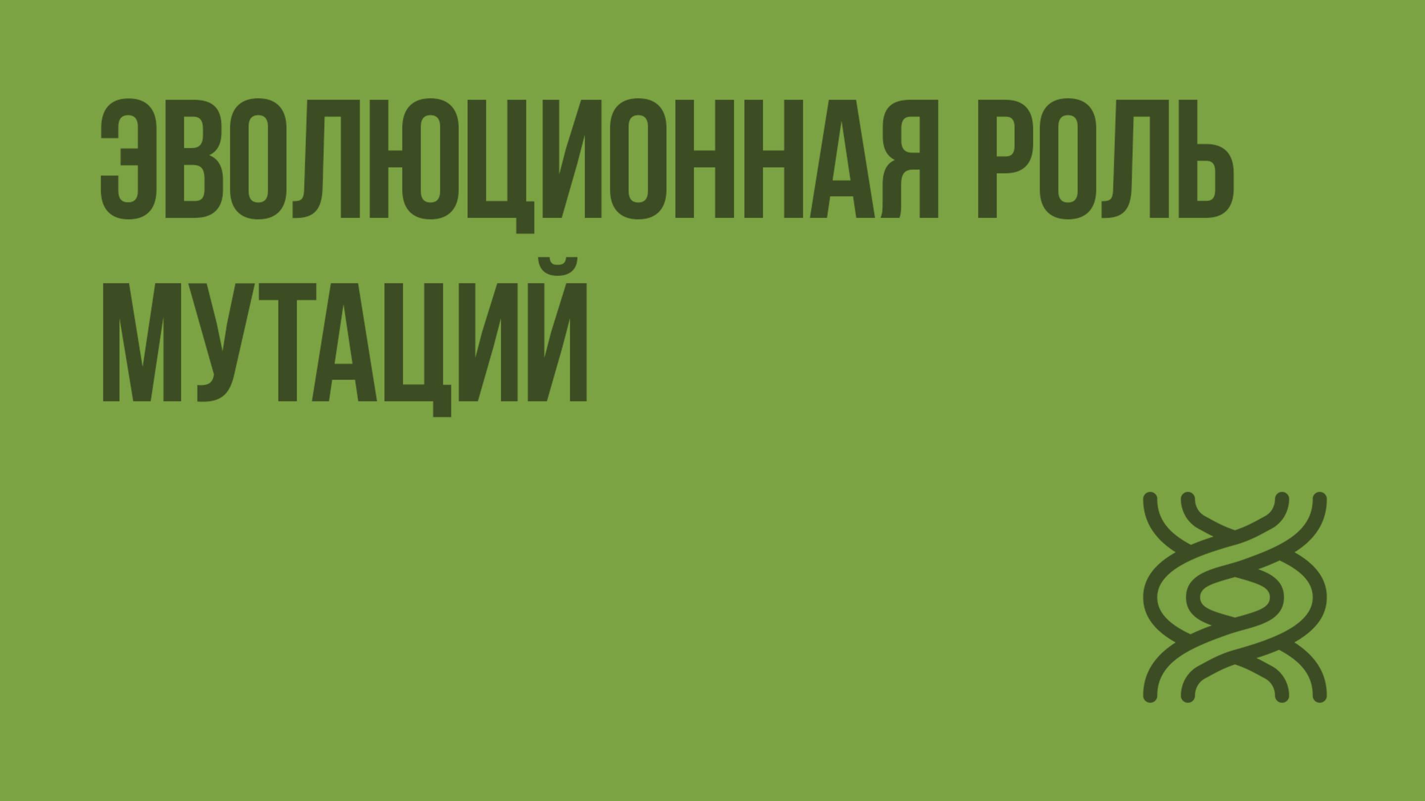 Эволюционная роль мутаций. Видеоурок по биологии 11 класс