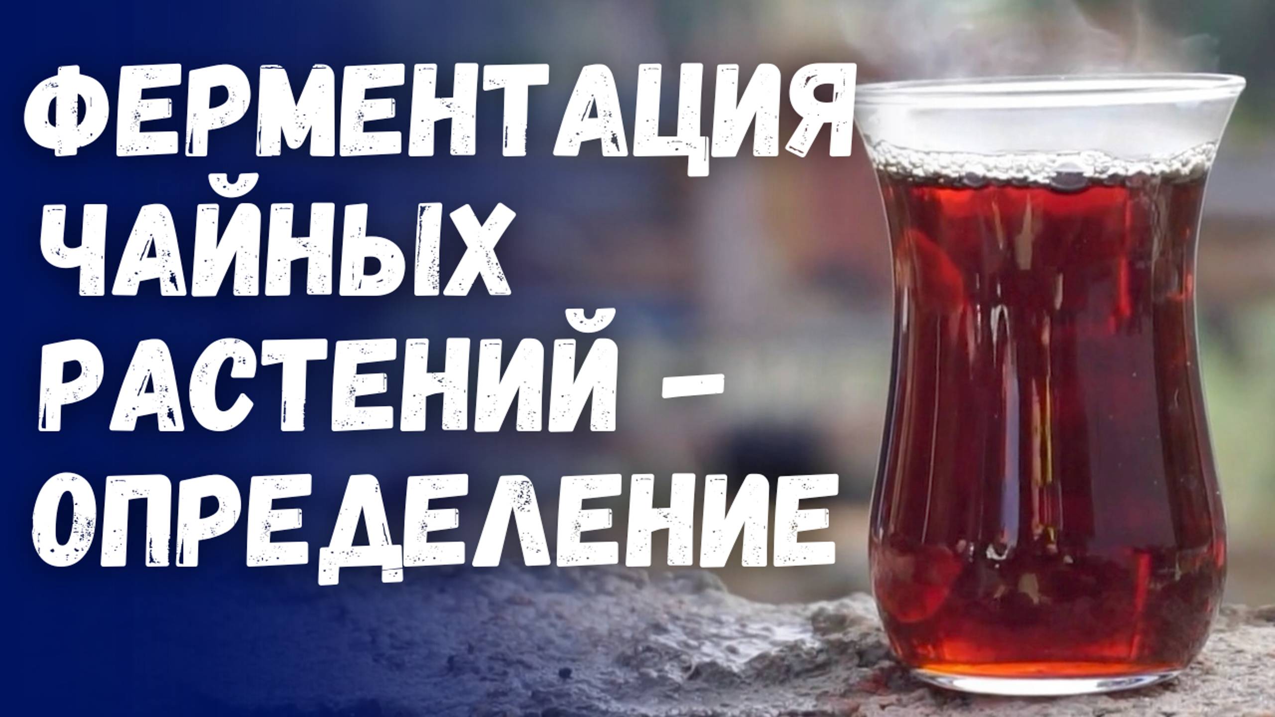 Ферментация чайных растений - научное объяснение