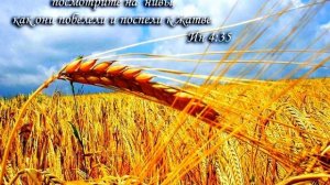 Новые нивы 101   Радиопередача из ФРГ г Гуммерсбах