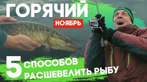 ГОРЯЧИЙ НОЯБРЬ