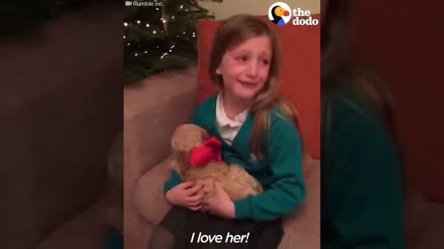 Little Girl Res to Puppy Surprise | The Dodo смотреть онлайн