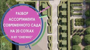 Разбор ассортимента современного сада на 20 сотках в КП "Онегино"