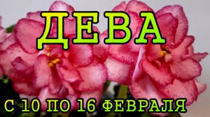ДЕВА таро прогноз на неделю с 10 по 16 ФЕВРАЛЯ 2025 года.