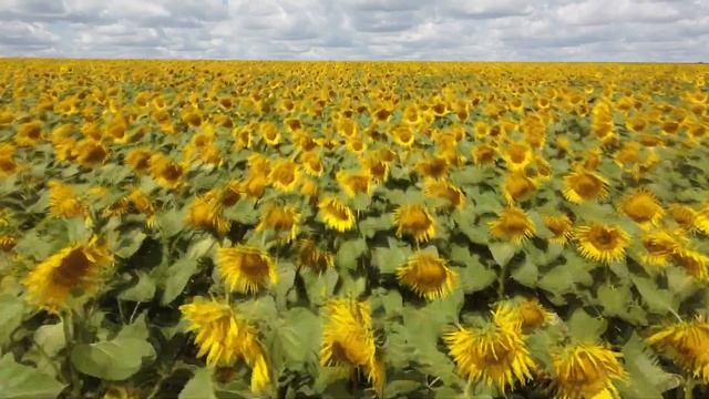 Рідне село смотреть онлайн