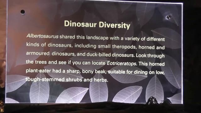 Walk Through Albertosaurus Forest Entrance Exhibit at The Royal Tyrrell Museum of Palaeontology смотреть онлайн