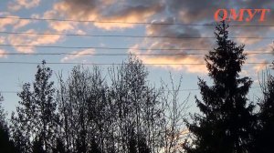 283. Собачки -ДРУЗЬЯ...