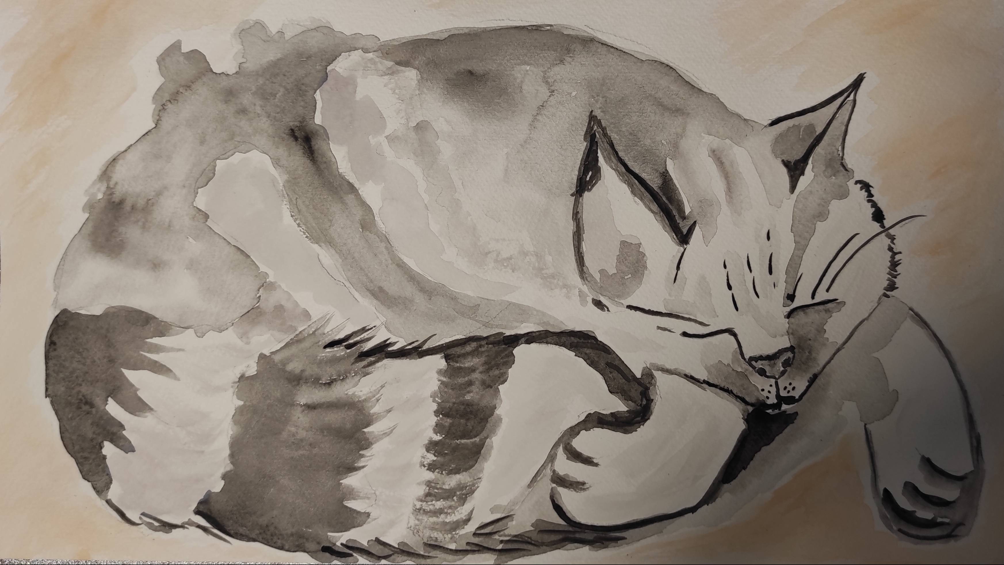 Кошачьи сны