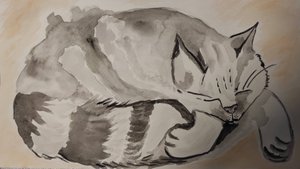 Кошачьи сны