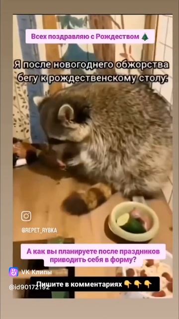 Я после новогодних праздников