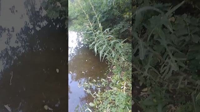 ловля на кузнечика часть 2 смотреть онлайн