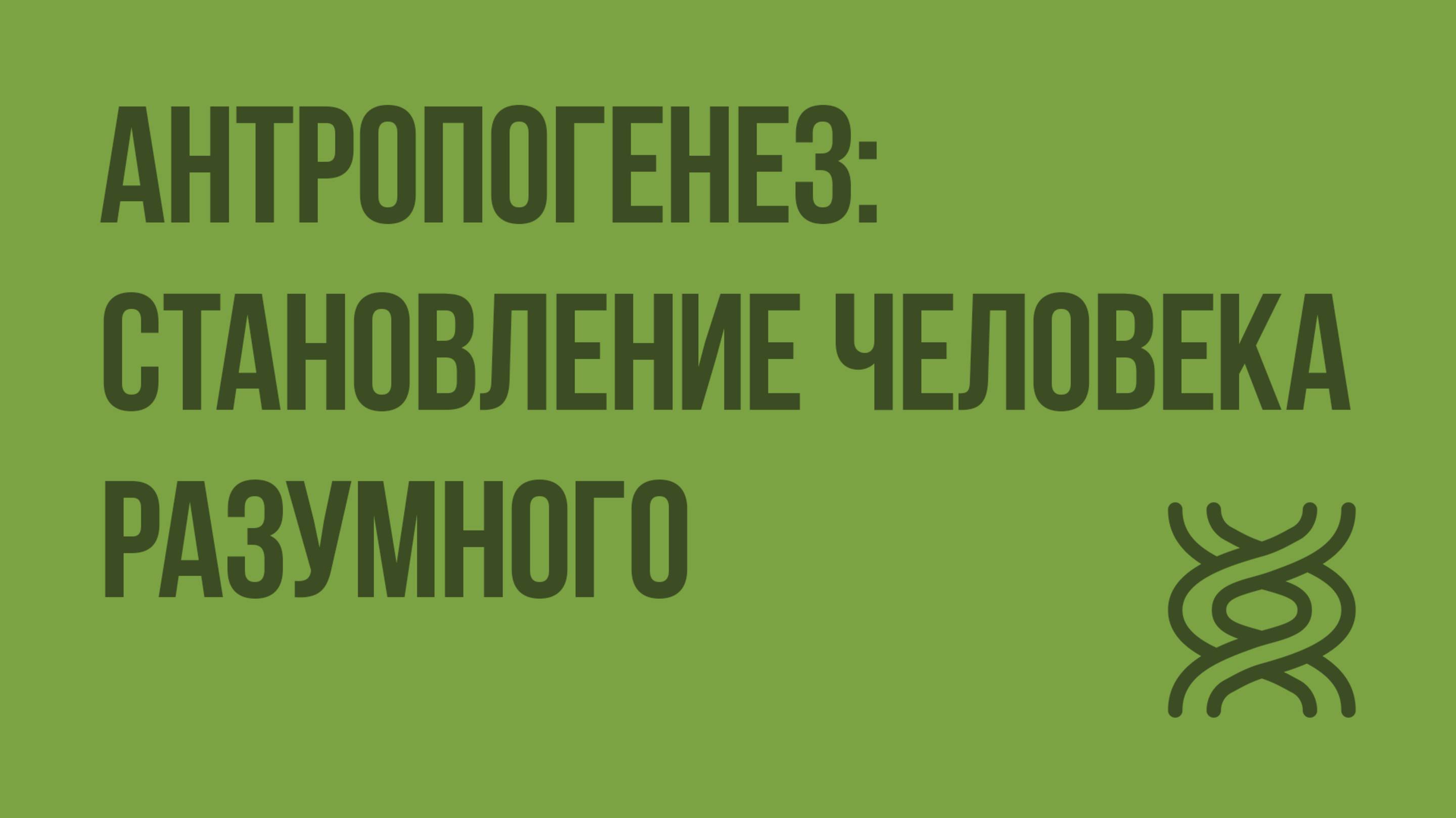 Антропогенез становление человека разумного. Видеоурок по биологии 11 класс