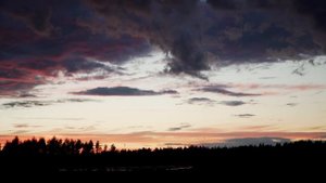 Мой любимый чемпион: фильм о фильме (2024)