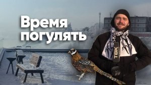 Новая смотровая площадка в Академгородке \ «Время погулять»