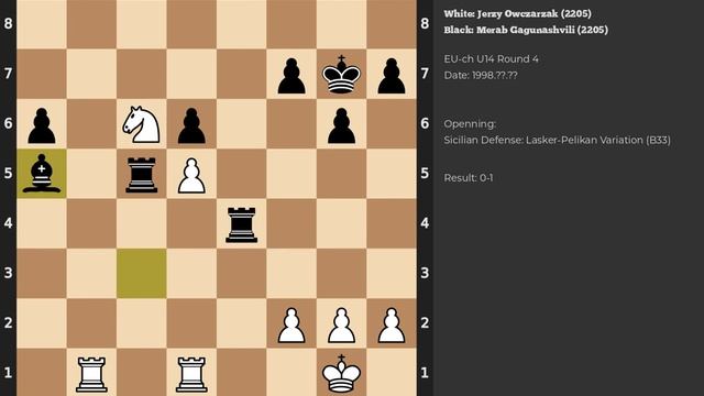 Jerzy Owczarzak - Merab Gagunashvili | Sicilian Defense: Lasker-Pelikan Variation | 1998 смотреть онлайн