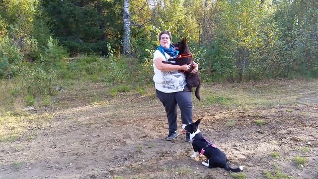 Lani hopper i armene смотреть онлайн