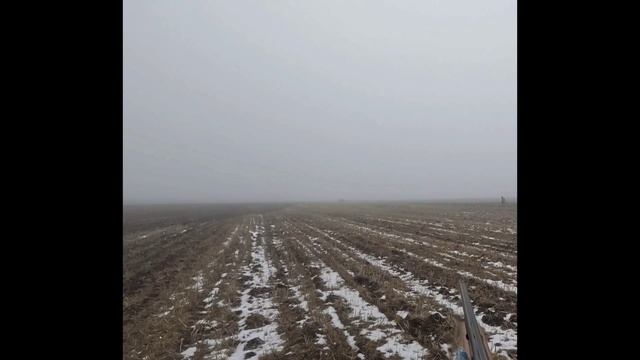 охота на зайца смотреть онлайн