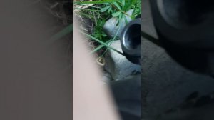 Игорь и лодочный мотор ветерок 12