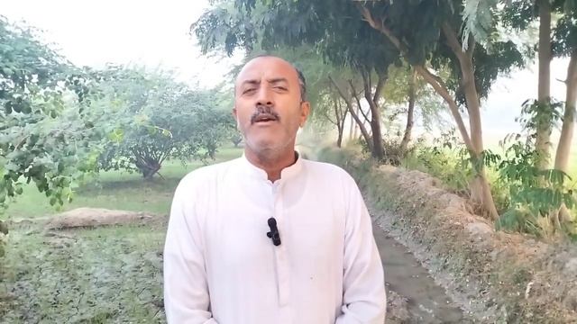 subhe ka nezara смотреть онлайн