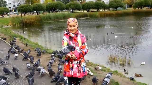 Голуби смотреть онлайн