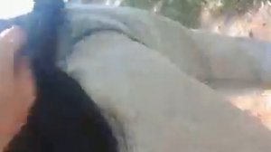 Задом на перед