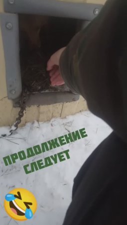 Утка по Деревенски