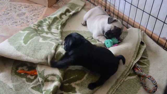 DSC 2404 смотреть онлайн