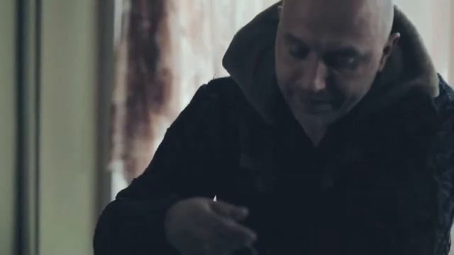 06  25 17 Волчонок