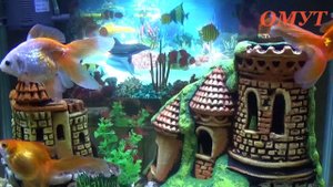 197. Заговор НАКАЗАНИЯ ПО РОДУ.И немного общения РОДНЫЕ.