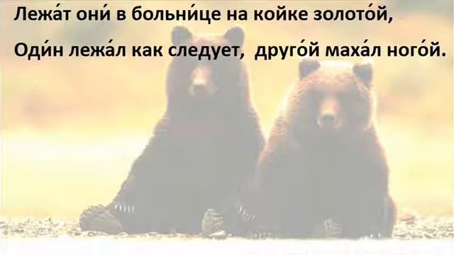 Два медведя на суку