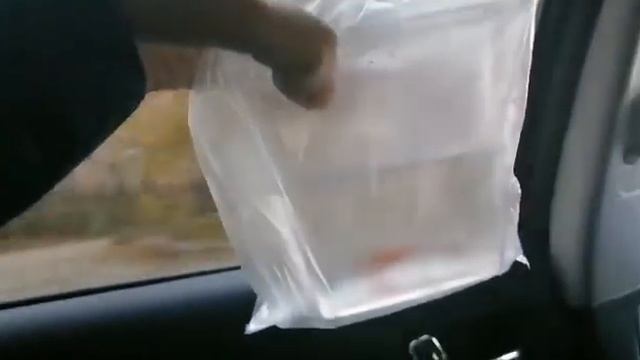 Купили аквариумных рыб