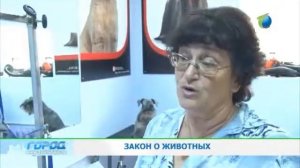 Фрагмент пр. "Город" 1 городской канал от 29.07.2013