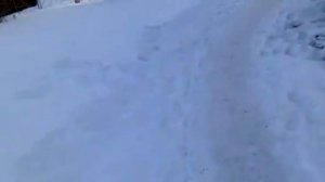 Катание на свинье.mp4