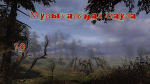 Музыкальная пауза № 78. Creedence