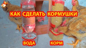 Кормушка и поилка из бутылок на подставке для кур несушек, молодок и цыплят 💦🐓❣️