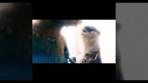 Ракета и Лайла 😭 | Стражи галактики 3 #shorts #movies #стражигалактики