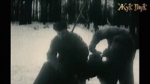 О Собаках войны 1941-1945