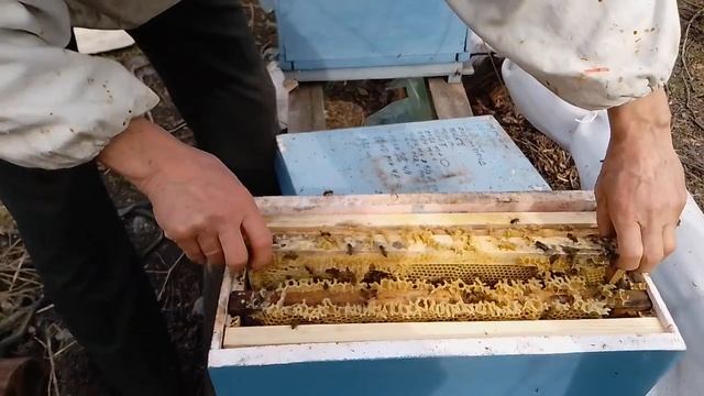 12 марта 2023 г. смотреть онлайн