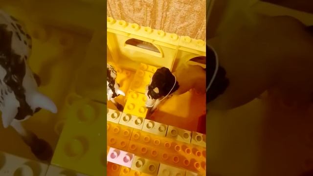 1 серия фильма лошадиная любовь существует смотреть онлайн