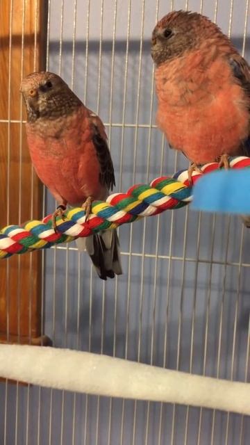 The girls first time together 1 смотреть онлайн