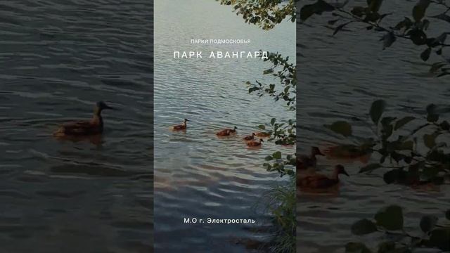 Парки Подмосковья парк Авангард #парк #ногинск #электросталь #паркиподмосковья #авангард