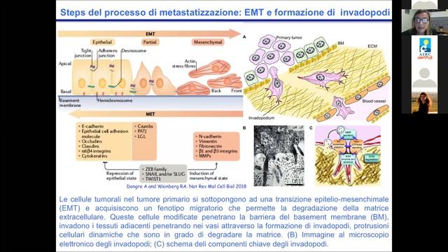 Invasion and metastasis in ovarian cancer: novel targets, a cura di Anna Bagnato смотреть онлайн