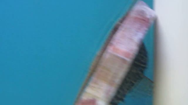 L340 Hypancistrus Mega Clown смотреть онлайн