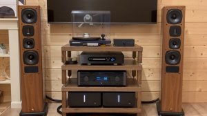 Как звучат кабели: Purist Audio Design Musaeus BiWire Diamond Revision 2.0m ban-ban
