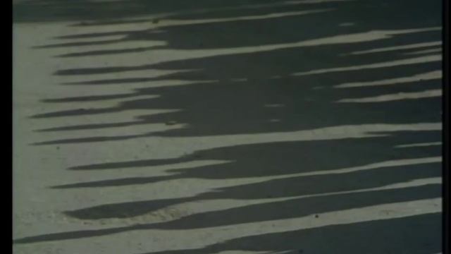 Brano Trifkovic - Brate Srbine (Serbian Brothers) смотреть онлайн