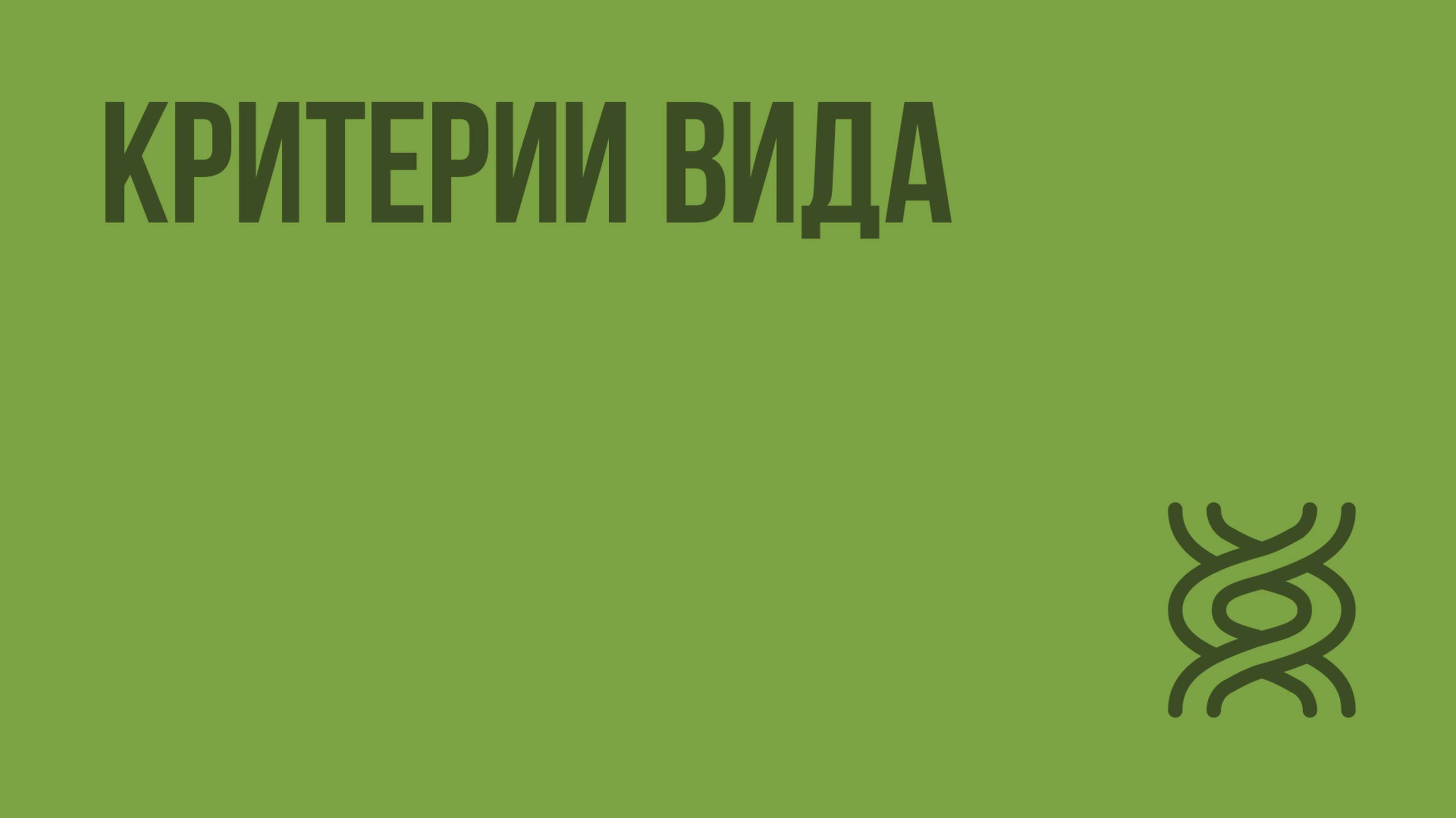 Критерии вида. Видеоурок по биологии 11 класс