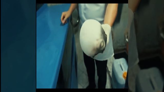 Amazing facts about puffer fish in hindi/urdu смотреть онлайн