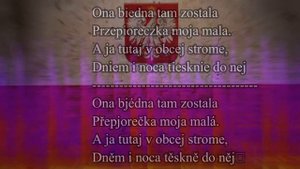 Hej Sokoly - Karaoke | Vixar