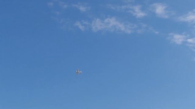 Flex Innovations Mamba 60 смотреть онлайн